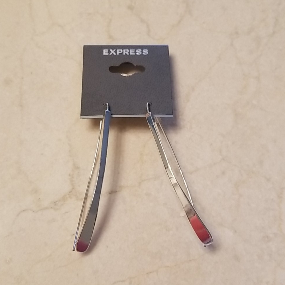 Express Silver Earrings